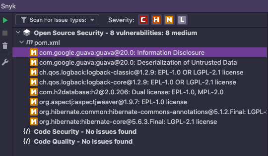 Snyk Vulnerability Scanner After